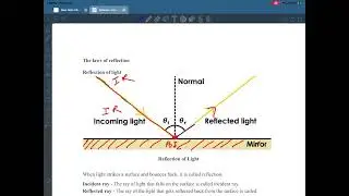 Light 