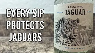 Alma Del Jaguar Tequila Blanco - Bottle Showcase and Review