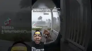 see what happens when u dont listen? #dogdoesntlisten #stubbornDog #dogfails #funnydogvideo #shorts