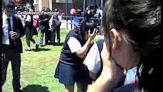 3rd Degree: Bullying