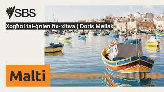 Xogħol tal-ġnien fix-xitwa | Doris Meilak | SBS Maltese - SBS bil-Malti