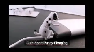 Rogue Dog Charging Cable
