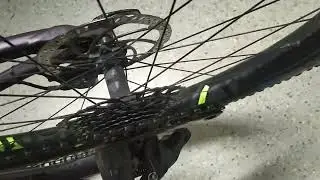 DT Swiss XM 1501 Spline ONE Boost rear hub sound