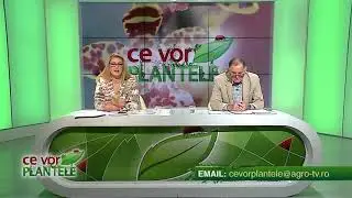Cum se face corect pasta de Terracalco?