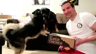 BARKBOX SUPER CHEWER  December | Extra toy | Unboxing