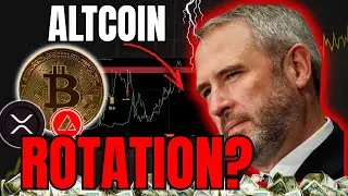 🤯Capital rotation to altcoins despite Bitcoin's peak?