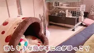 楽しそうな我が子の姿を見ると、自然と笑顔になる