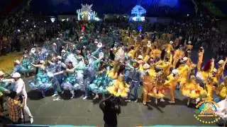 MOLEKA 2014 CAMPINENSE