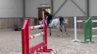 Sold mexico 🇲🇽 Training day 9 yo chacoon blue x balou mare 👍