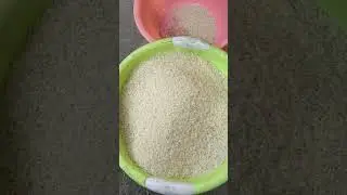 200kg/hour, combined rice milling and crushing machine. #machine #ricemill#rice#backbone#commercial
