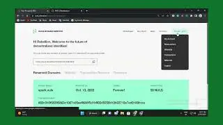 Own your NFT domain in NULS ecosystem, No Renewal Fees Forever.