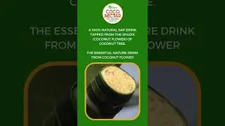 Thenneera-Coconectar Making Process | 100% Nature Drink