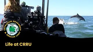 Stories from the team - Life at CRRU