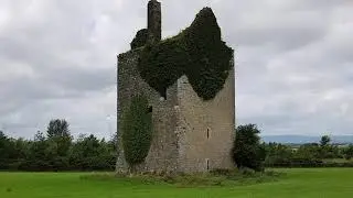 TH1