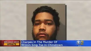 Alphonso Joyner Charged With Shooting, Killing Woom Sing Tse, 71, In Chinatown