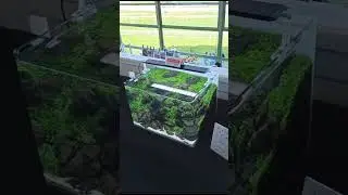 Готовый аквариум, уже купили прямо на выставке Дортмунда. #aquariumshow .