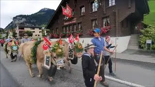 Alpine Descent Dallenwil 2020