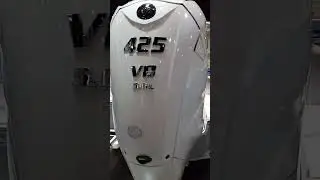 YAMA HA WHAT? YAMAHA XTO 425 #donnietwotail #outboard #boats