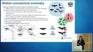 Dr Marike Geldenhuys (University of Pretoria) - Overview of bat-borne viruses with a focus on corona