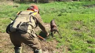 How to Start Hunting Small Game