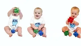 Baby Owl Kids