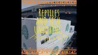 MEGA Unboxing &ndash; Fish, Reptiles AND Supplies!