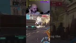 I did told my team! | #moreweth on #Twitch #reinhardt #overwatch2