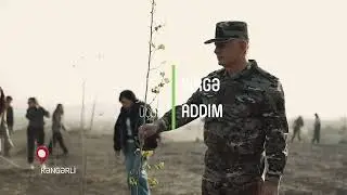ECO ADDIM