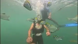 Scuba Diving in Malvan | Underwater World | kokan |🤿🌊💪🏻🌴🥥