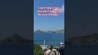 Cabo San Lucas Bay #cruise #travel #cabo #mexico #adventure #life #carnival #dadjokes #jokes #lol
