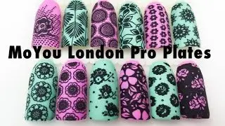 ***NEW*** Pro Plate Swatches | MoYou London