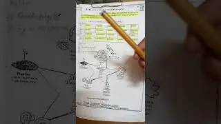 Classification of Crude drugs I Urdu lecture I Lecture with Madam Sara Ejaz
