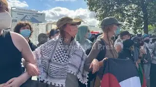 Protesters against arms sales to Israel attempt to block access to London defence fair