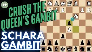 Schara Gambit Guide &ndash; Queen&rsquo;s Gambit Counter