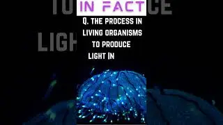 How Strong Is Your General Knowledge | #shorts #youtubeshorts | Light Production In Animals
