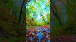 Восстановление !!!#востановление#энергия#recreation #calmmusic #relaxing #campinglife#relaxingvide
