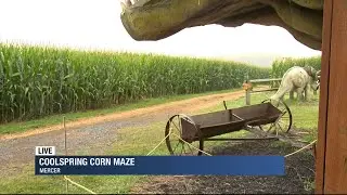 Coolspring Corn Maze