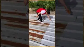 Metal Roof Waterproof Coating: Durable Protection for Long-Lasting Performance