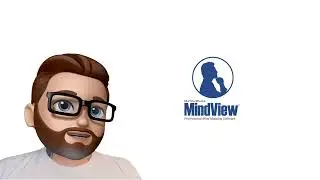 Mindview