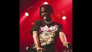 (FREE) Playboi Carti x Young Nudy x Sample type beat - Pissy Pumper