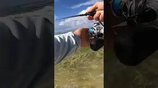 Give a man a fish! #fishing #beach #saltwaterfishing