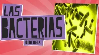 Las Bacterias - Biología - Educatina
