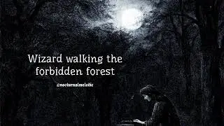 Wizard walking the forbidden forest (dark dungeon synth)