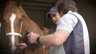 Equine Peak Fitness App - Promo