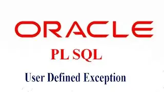 User Defined Exception in PL/SQL