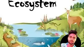 Ecosystem - One Shot Revision | NEET Biology | Target NEET 2020 | ANURAG SIR