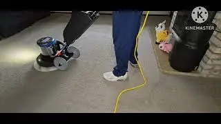 The Swirly FatBoy| VLM Carpet Cleaning