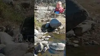 Tanawal Oghi Mansehra Hazara | #shorts | #shortvideo | #shortsfeed | Travel with Tanoli