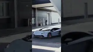 love is everywhere🤑😍👌 #shorts #lamborghini #luxurycars #cartv