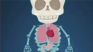 BBC Learning - Parts of the Human Body